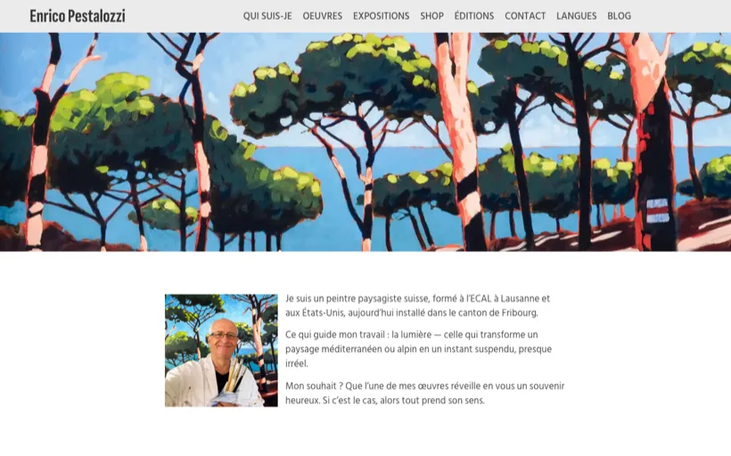 Page d'accueil du site Enrico Pestalozzi
